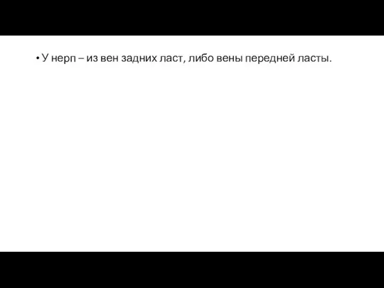 У нерп – из вен задних ласт, либо вены передней ласты.