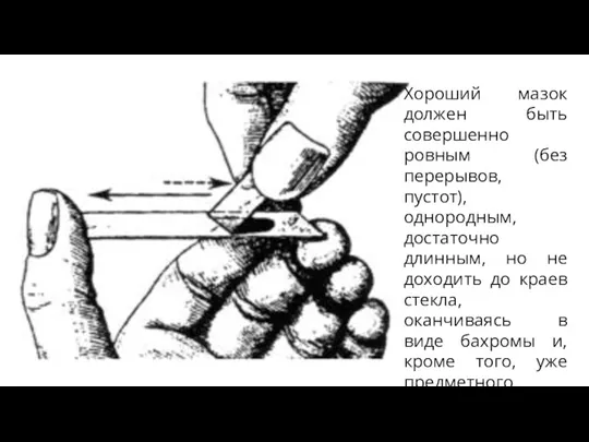 Хороший мазок должен быть совершенно ровным (без перерывов, пустот), однородным,