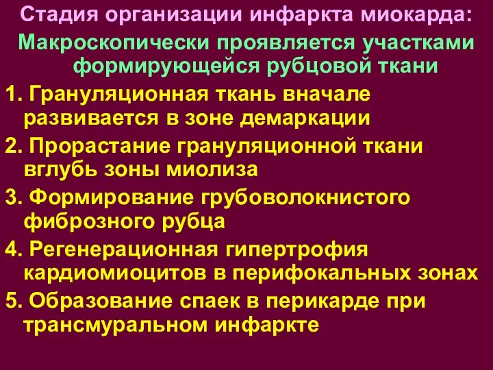 Стадия организации инфаркта миокарда: Макроскопически проявляется участками формирующейся рубцовой ткани