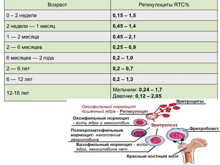 Норма ретикулоцитов для детей RTC%