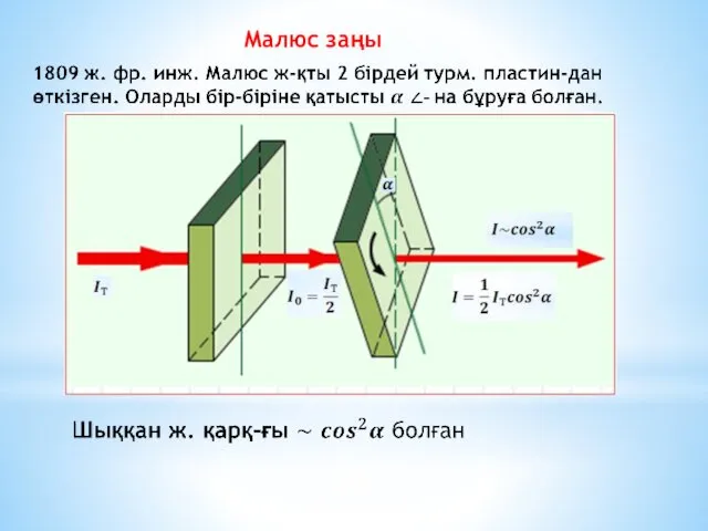 Малюс заңы