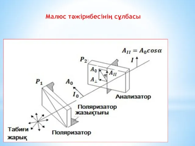 Малюс тәжірибесінің сұлбасы