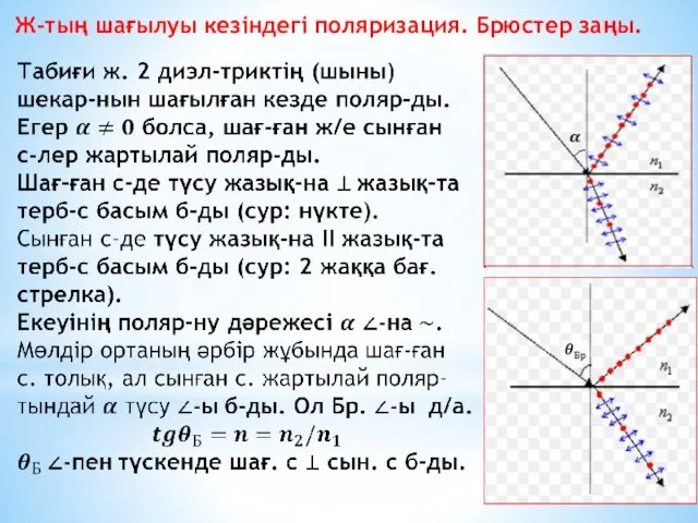 Ж-тың шағылуы кезіндегі поляризация. Брюстер заңы.