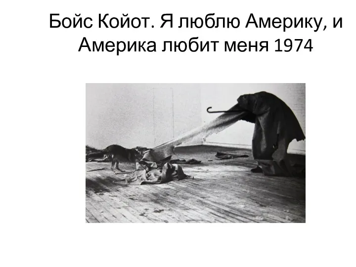 Бойс Койот. Я люблю Америку, и Америка любит меня 1974