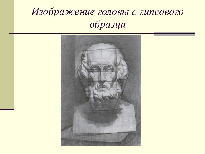 Изображение головы с гипсового образца