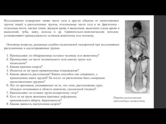 Основные вопросы, решаемые судебно-медицинской экспертизой при исследовании расчлененных и скелетированных