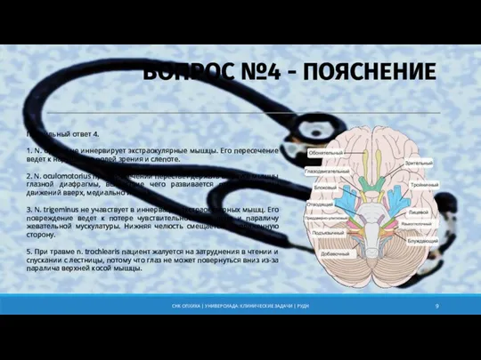 Правильный ответ 4. 1. N. opticus не иннервирует экстраокулярные мышцы.