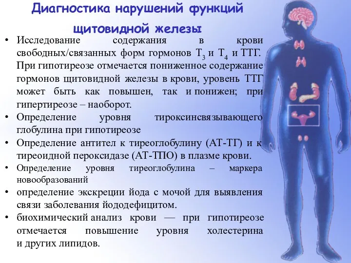 Исследование содержания в крови свободных/связанных форм гормонов T3 и T4