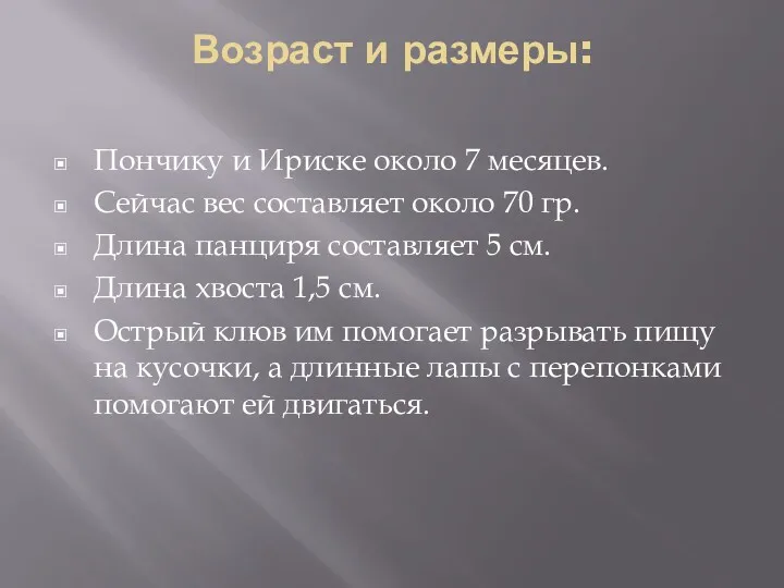 Возраст и размеры: Пончику и Ириске около 7 месяцев. Сейчас