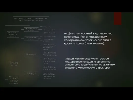 Асфиксия - частный вид гипоксии, сочетающийся с повышенным содержанием углекислого