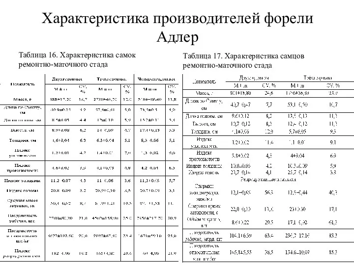 Характеристика производителей форели Адлер Таблица 16. Характеристика самок ремонтно-маточного стада Таблица 17. Характеристика самцов ремонтно-маточного стада