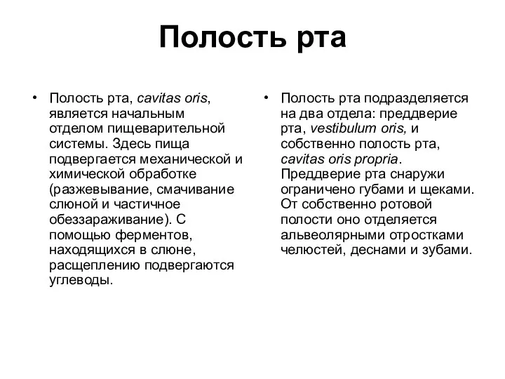 Полость рта Полость рта, cavitas oris, является начальным отделом пищеварительной