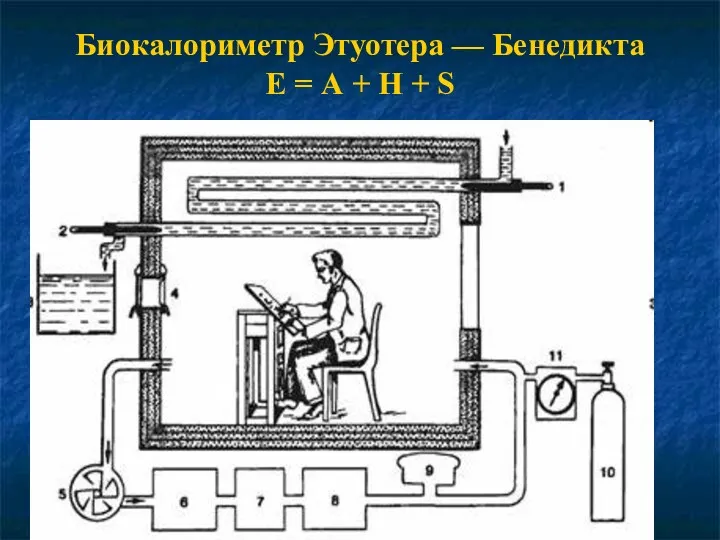 Биокалориметр Этуотера — Бенедикта Е = А + Н + S