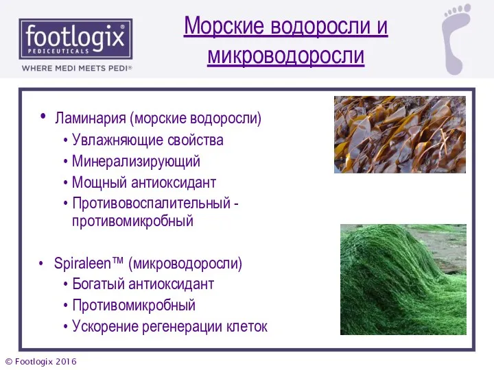 Морские водоросли и микроводоросли Ламинария (морские водоросли) Увлажняющие свойства Минерализирующий
