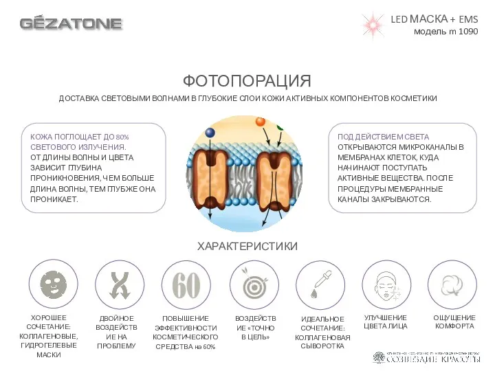ФОТОПОРАЦИЯ ДОСТАВКА СВЕТОВЫМИ ВОЛНАМИ В ГЛУБОКИЕ СЛОИ КОЖИ АКТИВНЫХ КОМПОНЕНТОВ КОСМЕТИКИ ХОРОШЕЕ СОЧЕТАНИЕ:
