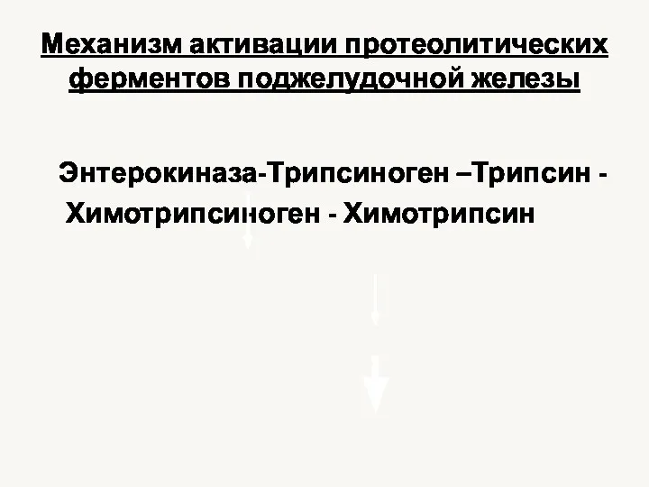 Механизм активации протеолитических ферментов поджелудочной железы Энтерокиназа-Трипсиноген –Трипсин - Химотрипсиноген - Химотрипсин