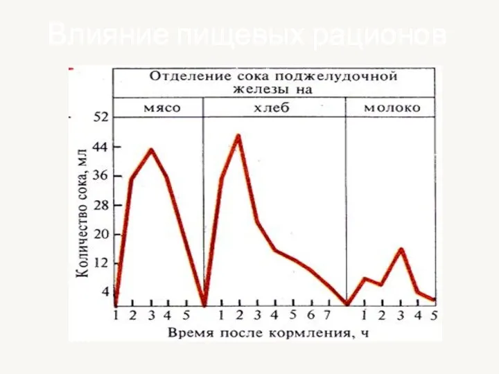 Влияние пищевых рационов