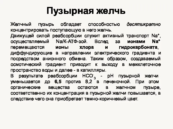 Пузырная желчь Желчный пузырь обладает способностью десятикратно концентрировать поступающую в