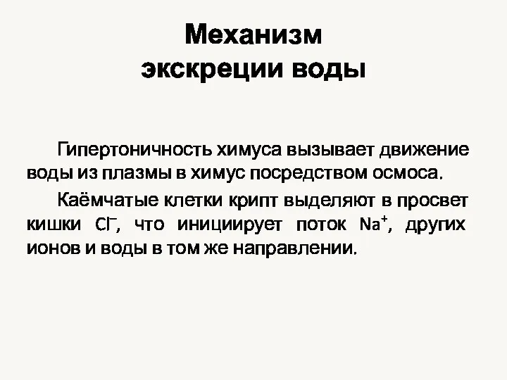 Механизм экскреции воды Гипертоничность химуса вызывает движение воды из плазмы