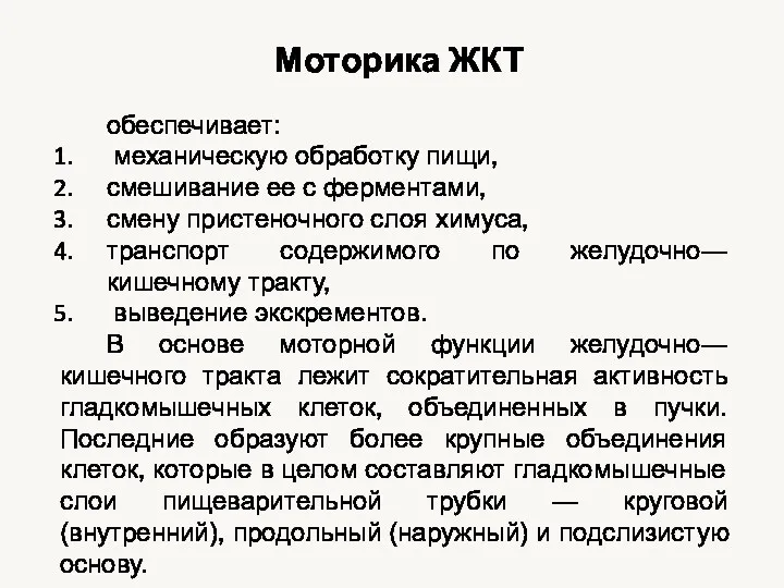 обеспечивает: механическую обработку пищи, смешивание ее с ферментами, смену пристеночного