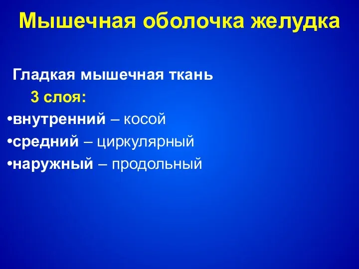 Мышечная оболочка желудка Гладкая мышечная ткань 3 слоя: внутренний –