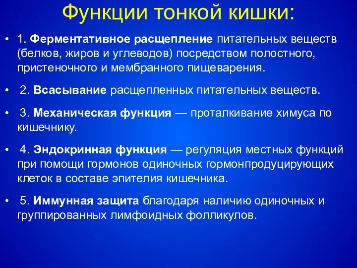 Функции тонкой кишки: 1. Ферментативное расщепление питательных веществ (белков, жиров