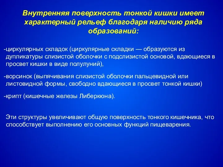 Внутренняя поверхность тонкой кишки имеет характерный рельеф благодаря наличию ряда