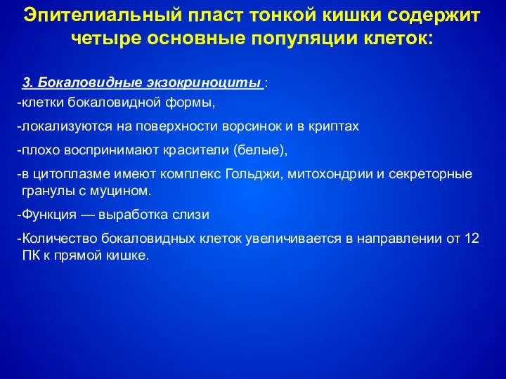 3. Бокаловидные экзокриноциты : клетки бокаловидной формы, локализуются на поверхности