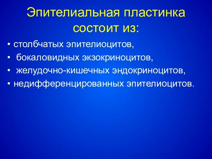 Эпителиальная пластинка состоит из: столбчатых эпителиоцитов, бокаловидных экзокриноцитов, желудочно-кишечных эндокриноцитов, недифференцированных эпителиоцитов.