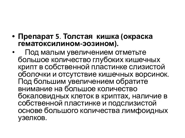 Препарат 5. Толстая кишка (окраска гематоксилином-эозином). Под малым увеличением отметьте