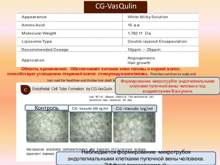 CG-VasQulin Область применения: Обеспечивает питание кожи головы и корней волос , способствует утолщению