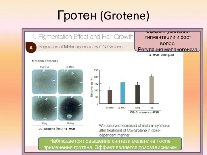 Гротен (Grotene) Эффект усиления пигментации и рост волос. Регуляция меланогенеза Наблюдается повышение синтеза