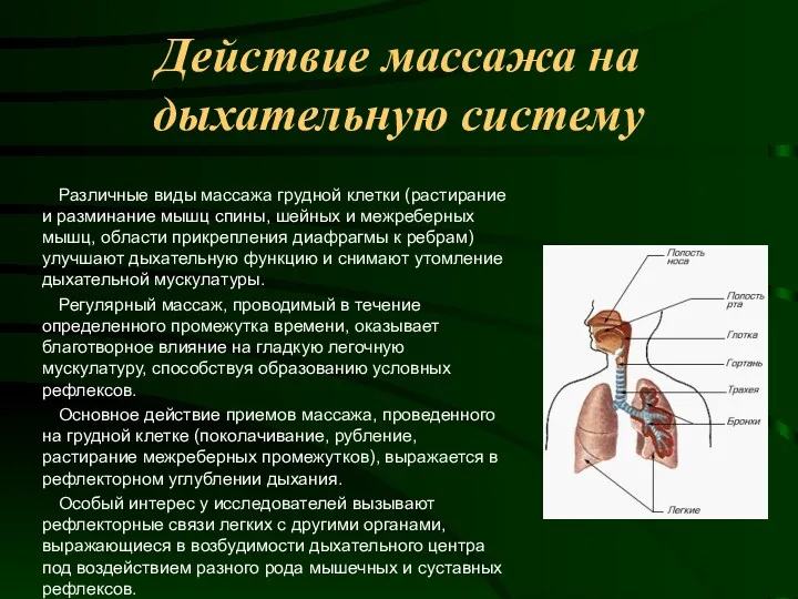 Действие массажа на дыхательную систему Различные виды массажа грудной клетки (растирание и разминание