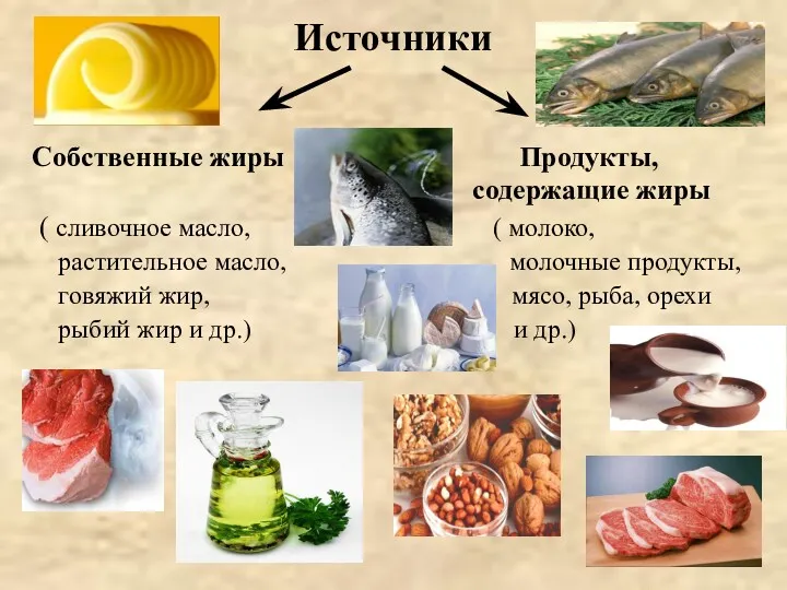 Источники Собственные жиры Продукты, содержащие жиры ( сливочное масло, (