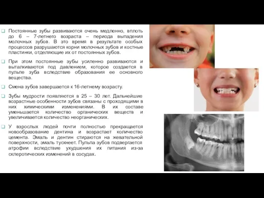 Постоянные зубы развиваются очень медленно, вплоть до 6 – 7-летнего