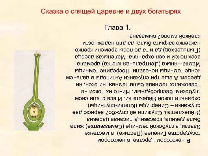 В некотором царстве, в некотором государстве Гинецее (Пестике), в местечке