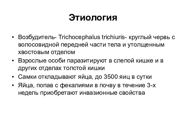 Этиология Возбудитель- Trichocephalus trichiuris- круглый червь с волосовидной передней части