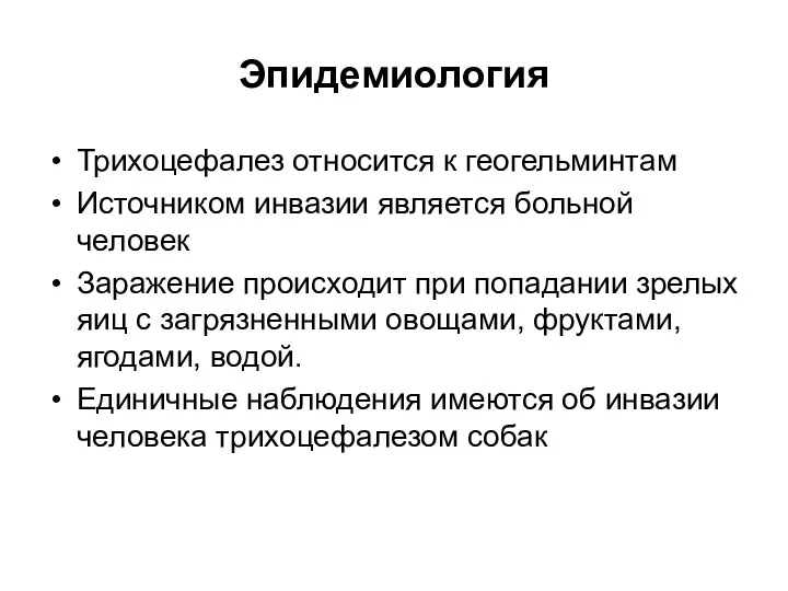 Эпидемиология Трихоцефалез относится к геогельминтам Источником инвазии является больной человек