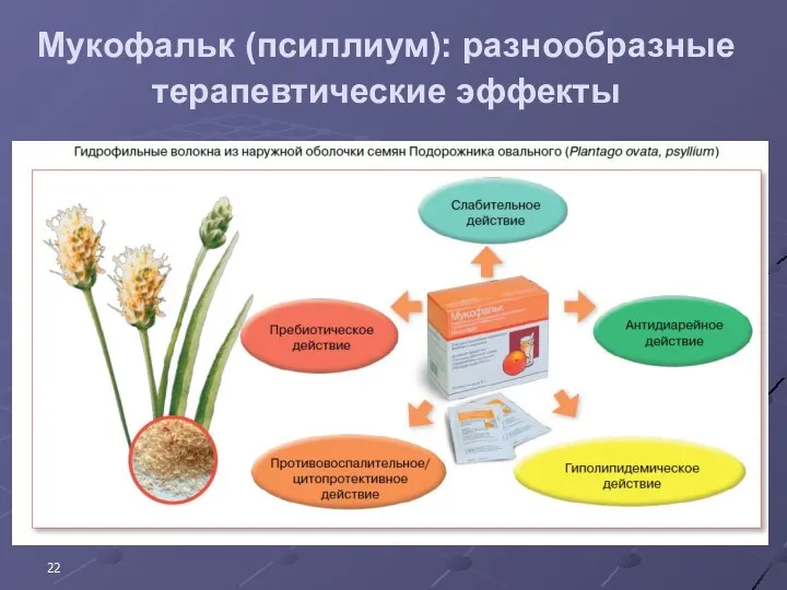 Мукофальк (псиллиум): разнообразные терапевтические эффекты