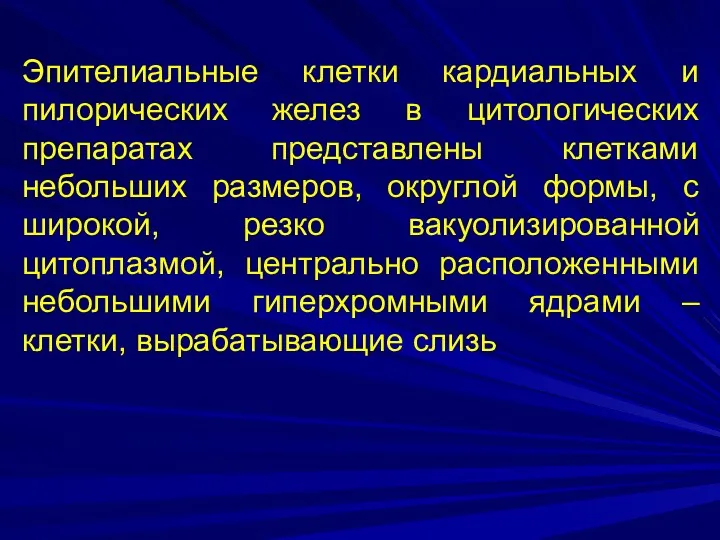 Эпителиальные клетки кардиальных и пилорических желез в цитологических препаратах представлены