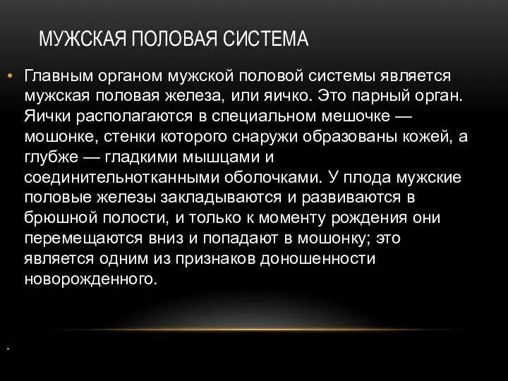 МУЖСКАЯ ПОЛОВАЯ СИСТЕМА Главным органом мужской половой системы является мужская