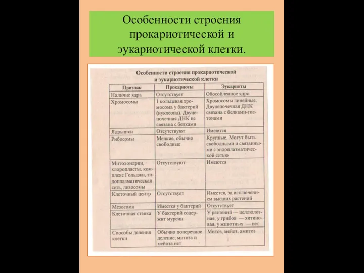 Особенности строения прокариотической и эукариотической клетки.