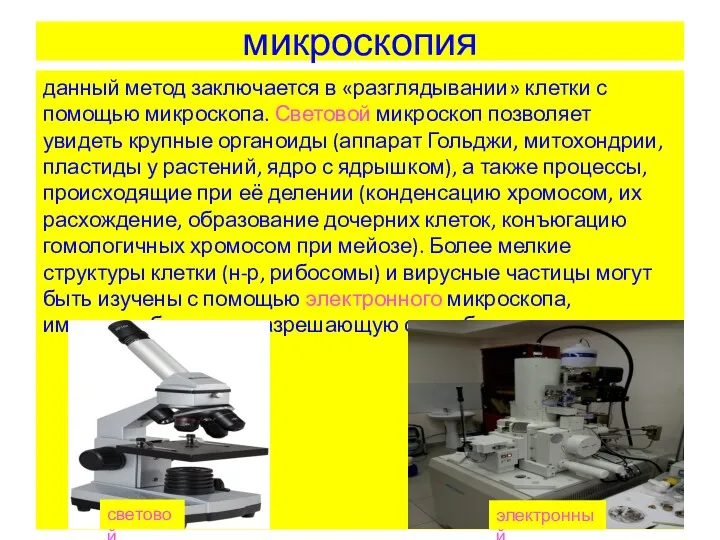 микроскопия данный метод заключается в «разглядывании» клетки с помощью микроскопа. Световой микроскоп позволяет