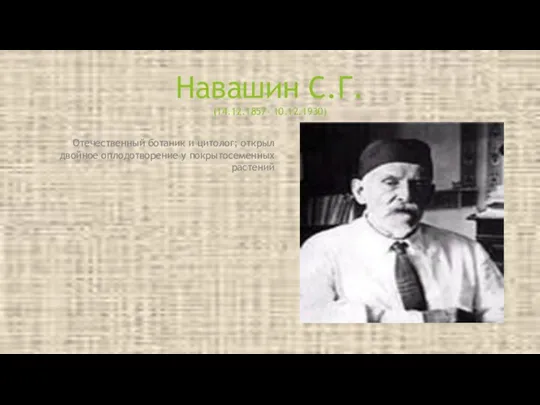 Отечественный ботаник и цитолог; открыл двойное оплодотворение у покрытосеменных растений Навашин С.Г. (14.12.1857- 10.12.1930)