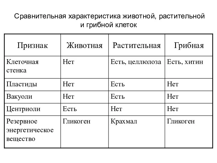 Сравнительная характеристика животной, растительной и грибной клеток