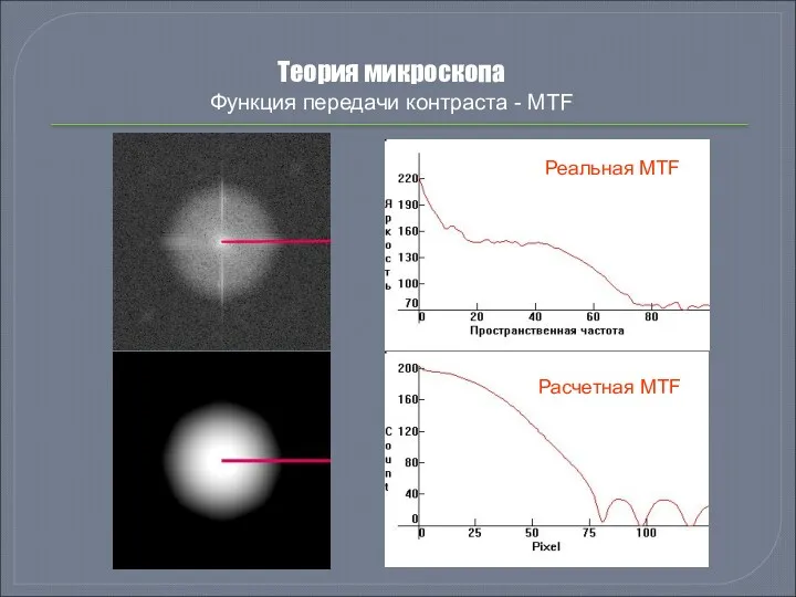 Теория микроскопа Функция передачи контраста - MTF Реальная MTF Расчетная MTF