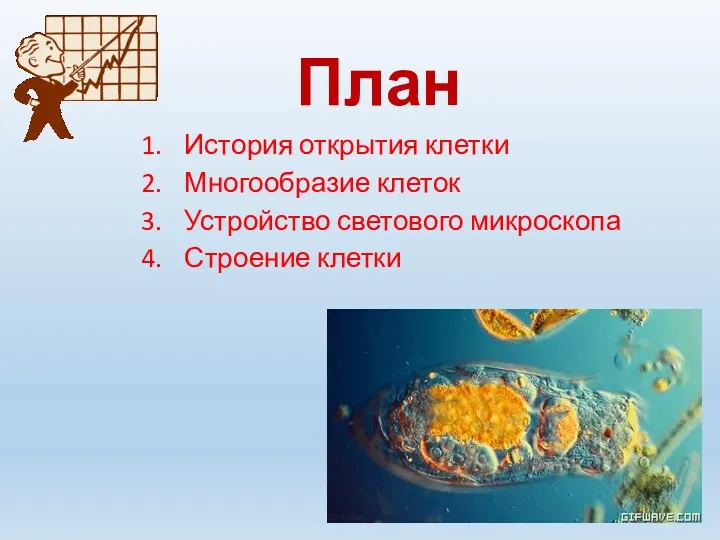 План История открытия клетки Многообразие клеток Устройство светового микроскопа Строение клетки