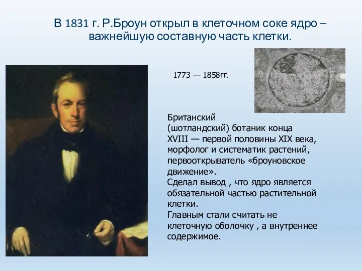 В 1831 г. Р.Броун открыл в клеточном соке ядро –