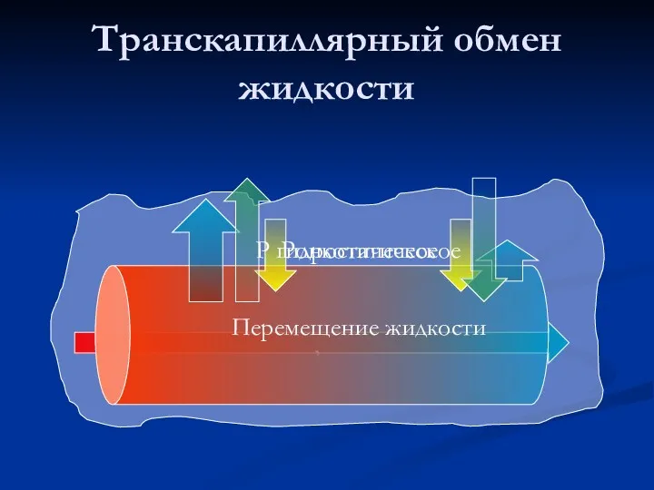 , Транскапиллярный обмен жидкости Р гидростатическое Ронкотическое Перемещение жидкости