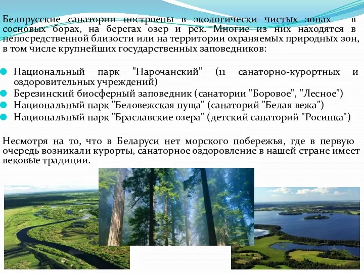 Белорусские санатории построены в экологически чистых зонах – в сосновых